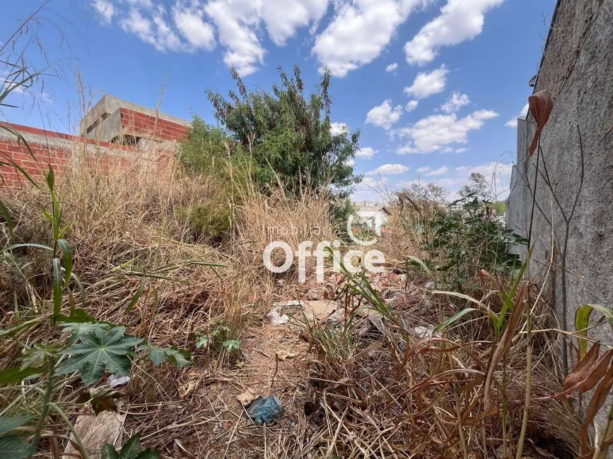 Foto 2 de Terreno / Lote à venda, 300m2 em Residencial Paris, Anapolis - GO