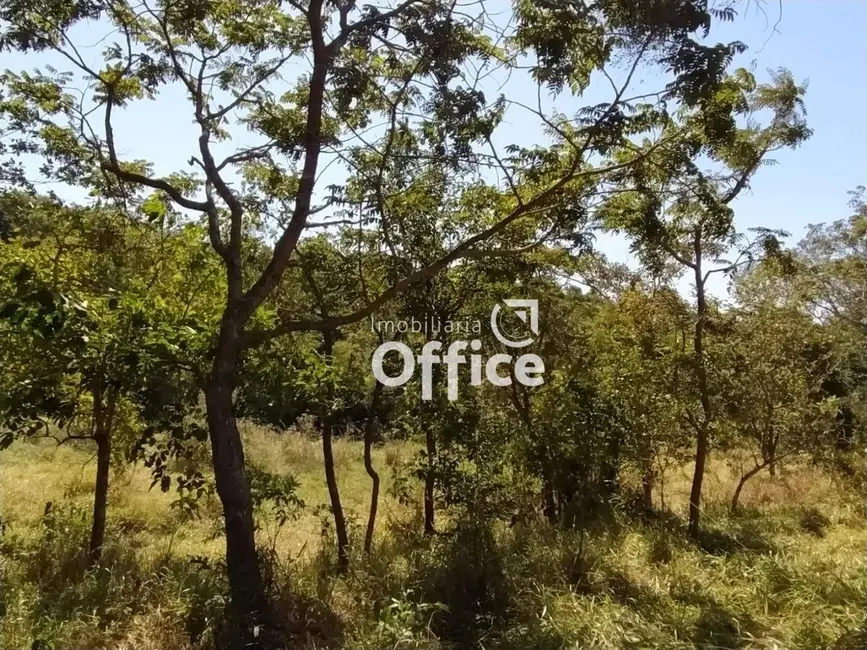 Foto 3 de Chácara com 1 quarto à venda, 4000m2 em Abadiania - GO