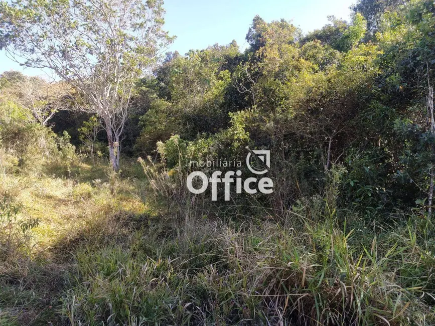 Foto 4 de Chácara com 1 quarto à venda, 4000m2 em Abadiania - GO