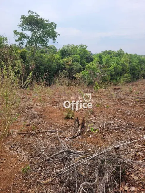 Foto 8 de Chácara com 1 quarto à venda, 24400m2 em Abadiania - GO
