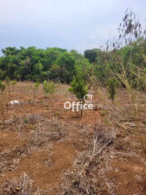 Foto 9 de Chácara com 1 quarto à venda, 24400m2 em Abadiania - GO