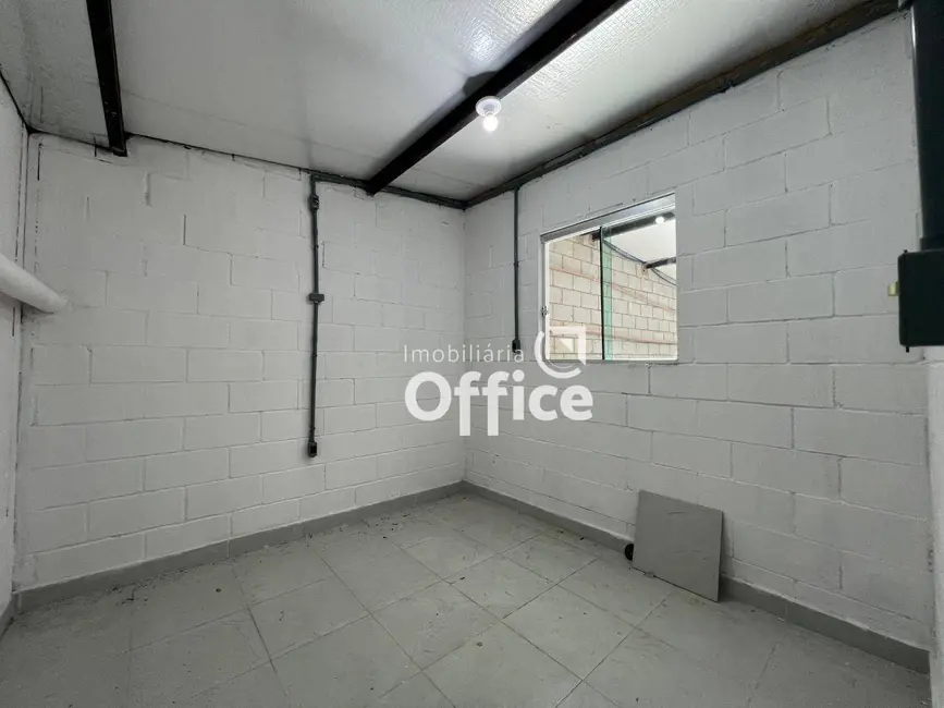 Armazém / Galpão à venda, 300m2 em Setor Sul Jamil Miguel, Anapolis - GO - imagem 7 Foto 7 de Armazém / Galpão à venda, 300m2 em Setor Sul Jamil Miguel, Anapolis - GO