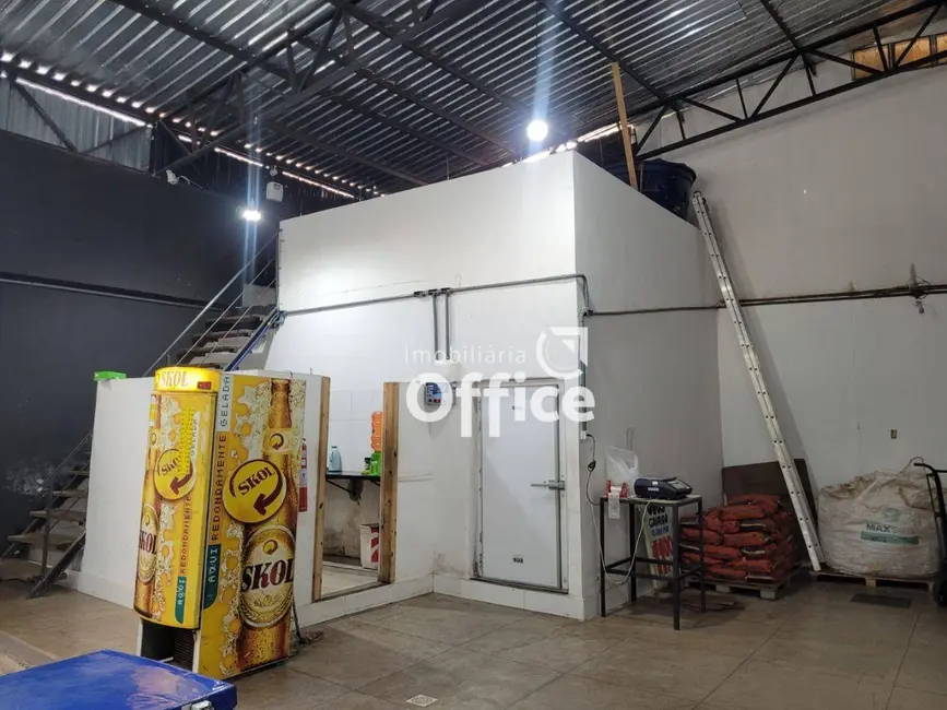 Armazém / Galpão à venda, 300m2 em Vila Formosa, Anapolis - GO - imagem 7 Foto 7 de Armazém / Galpão à venda, 300m2 em Vila Formosa, Anapolis - GO