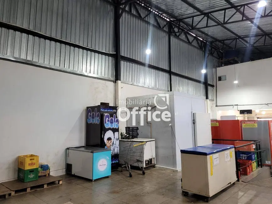 Armazém / Galpão à venda, 300m2 em Vila Formosa, Anapolis - GO - imagem 6 Foto 6 de Armazém / Galpão à venda, 300m2 em Vila Formosa, Anapolis - GO