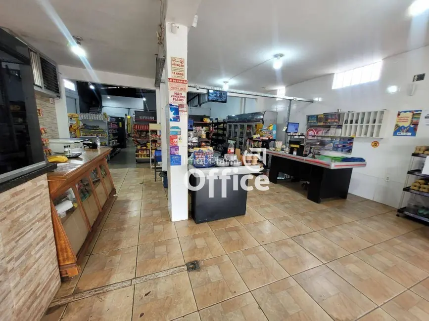 Foto 2 de Armazém / Galpão à venda, 300m2 em Vila Formosa, Anapolis - GO