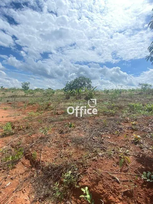 Foto 4 de Chácara com 1 quarto à venda, 20m2 em Edeia - GO