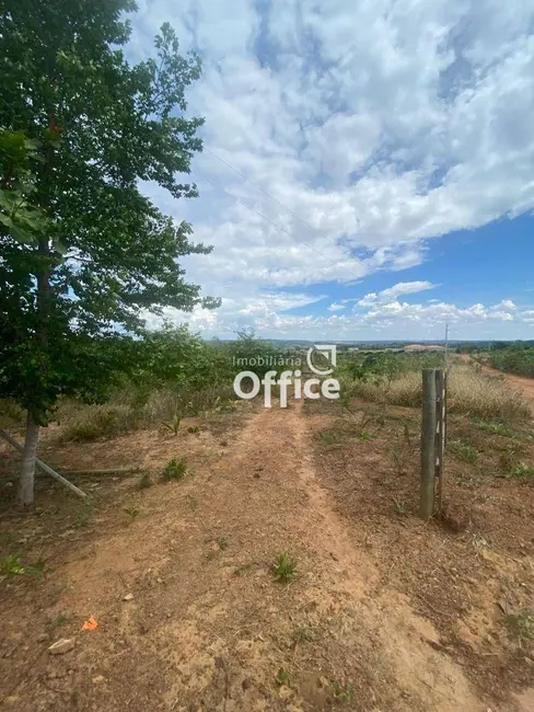 Foto 6 de Chácara com 1 quarto à venda, 20m2 em Edeia - GO