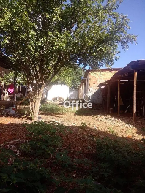 Foto 8 de Casa com 3 quartos à venda, 490m2 em Jundiaí, Anapolis - GO