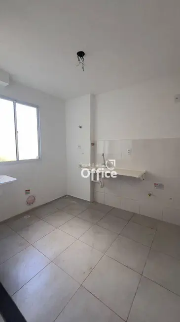Apartamento com 2 quartos à venda, 40m2 em Lourdes, Anapolis - GO - imagem 9 Foto 9 de Apartamento com 2 quartos à venda, 40m2 em Lourdes, Anapolis - GO
