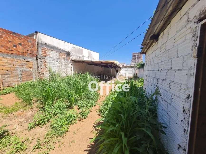 Foto 3 de Terreno / Lote à venda, 300m2 em Setor Central, Anapolis - GO