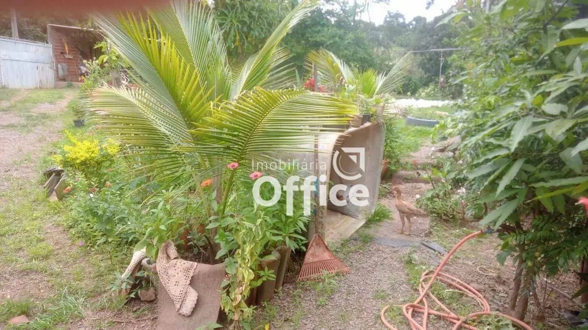 Chácara com 2 quartos à venda, 8000m2 em Recanto do Sol, Anapolis - GO - imagem 4 Foto 4 de Chácara com 2 quartos à venda, 8000m2 em Recanto do Sol, Anapolis - GO
