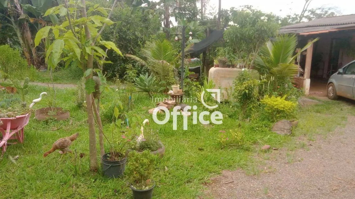 Chácara com 2 quartos à venda, 8000m2 em Recanto do Sol, Anapolis - GO - imagem 3 Foto 3 de Chácara com 2 quartos à venda, 8000m2 em Recanto do Sol, Anapolis - GO