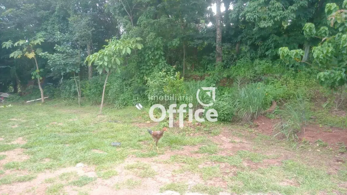 Chácara com 2 quartos à venda, 8000m2 em Recanto do Sol, Anapolis - GO - imagem 7 Foto 7 de Chácara com 2 quartos à venda, 8000m2 em Recanto do Sol, Anapolis - GO