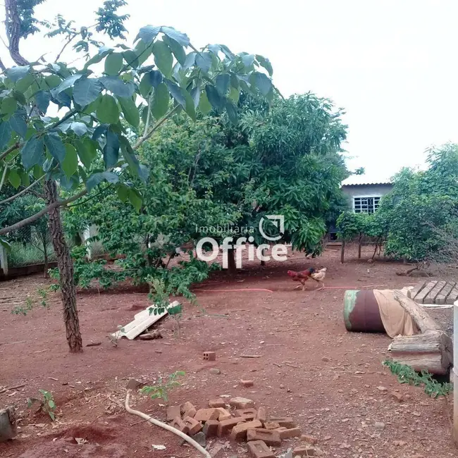 Chácara com 3 quartos à venda, 363m2 em Anapolis - GO - imagem 8 Foto 8 de Chácara com 3 quartos à venda, 363m2 em Anapolis - GO