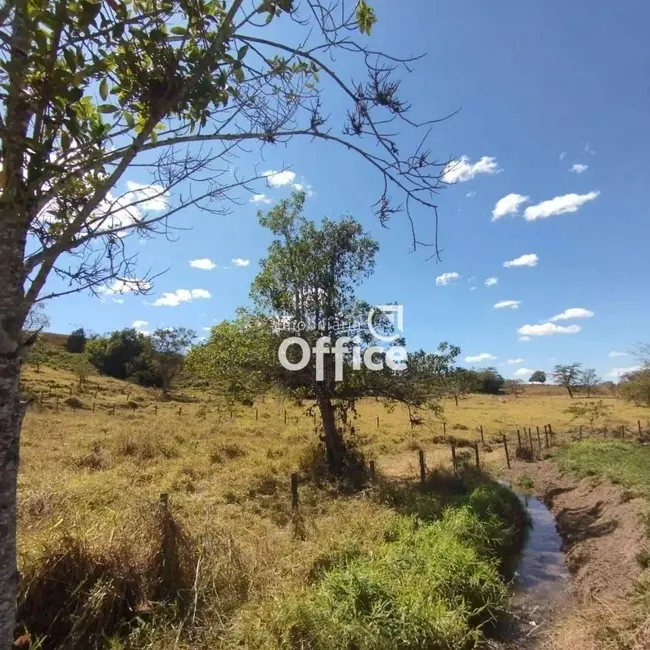 Foto 6 de Chácara com 6 quartos à venda, 96800m2 em Abadiania - GO