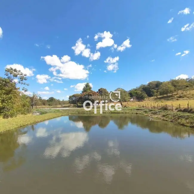 Foto 4 de Chácara com 6 quartos à venda, 96800m2 em Abadiania - GO