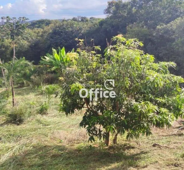 Foto 6 de Chácara com 3 quartos à venda, 100000m2 em Jardim Promissão, Anapolis - GO