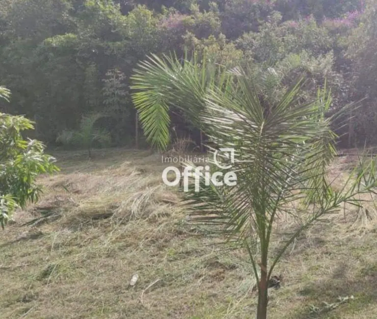 Foto 7 de Chácara com 3 quartos à venda, 100000m2 em Jardim Promissão, Anapolis - GO