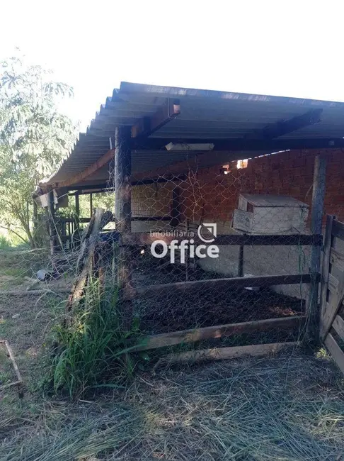 Foto 9 de Chácara com 3 quartos à venda, 100000m2 em Jardim Promissão, Anapolis - GO