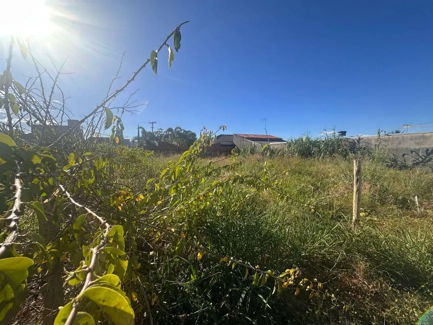 Foto 3 de Terreno / Lote à venda, 290m2 em Parque Brasília, Anapolis - GO