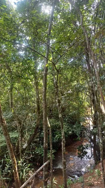 Foto 6 de Chácara com 2 quartos à venda, 2500m2 em Abadiania - GO