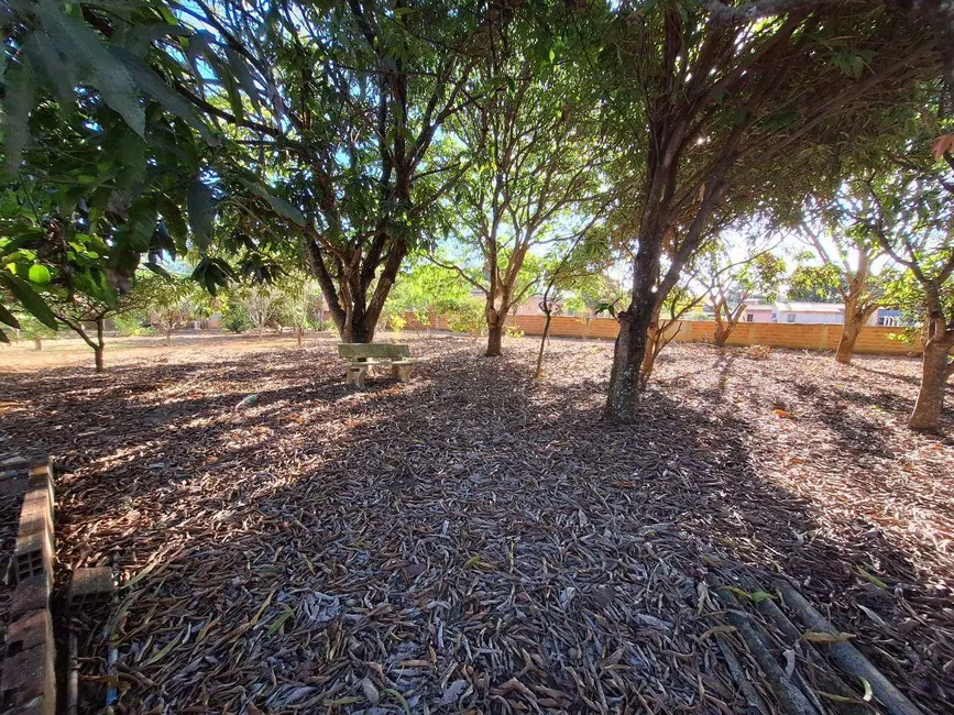 Chácara com 6 quartos à venda, 7894m2 em Distrito Agroindustrial de Anápolis, Anapolis - GO - imagem 4 Foto 4 de Chácara com 6 quartos à venda, 7894m2 em Distrito Agroindustrial de Anápolis, Anapolis - GO