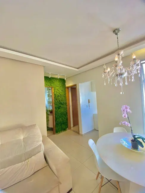 Foto 9 de Apartamento com 2 quartos à venda, 50m2 em Residencial Itatiaia, Anapolis - GO