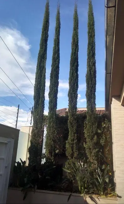 Foto 2 de Casa com 3 quartos à venda, 225m2 em Jardim Ana Paula, Anapolis - GO