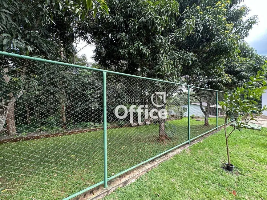 Chácara com 4 quartos à venda, 50000m2 em Anapolis - GO - imagem 7 Foto 7 de Chácara com 4 quartos à venda, 50000m2 em Anapolis - GO