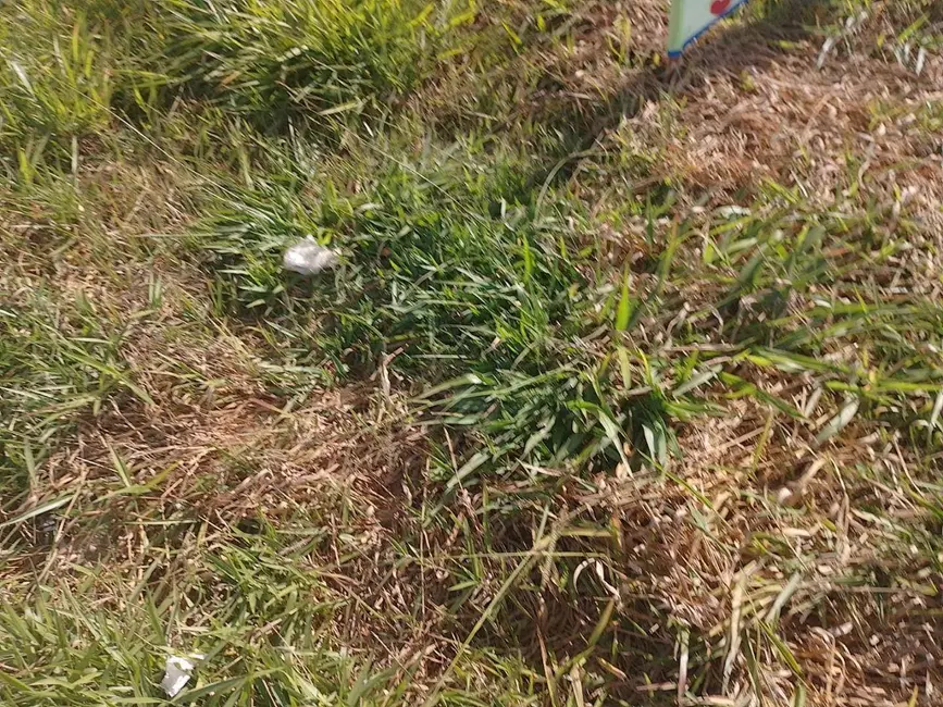 Foto 3 de Terreno / Lote à venda, 200m2 em Jardim Itália, Anapolis - GO