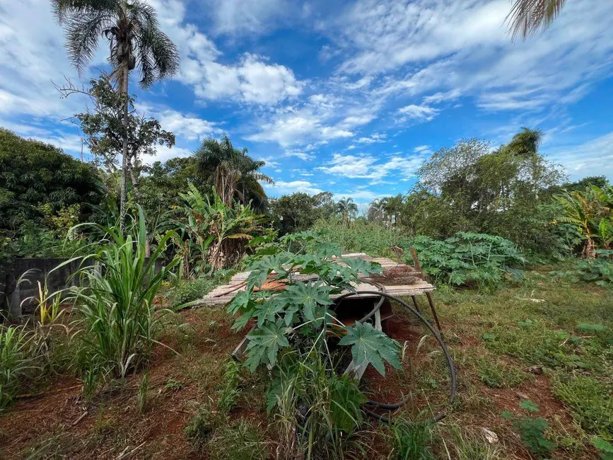 Foto 1 de Chácara com 6 quartos à venda, 3500m2 em Bandeiras, Anapolis - GO