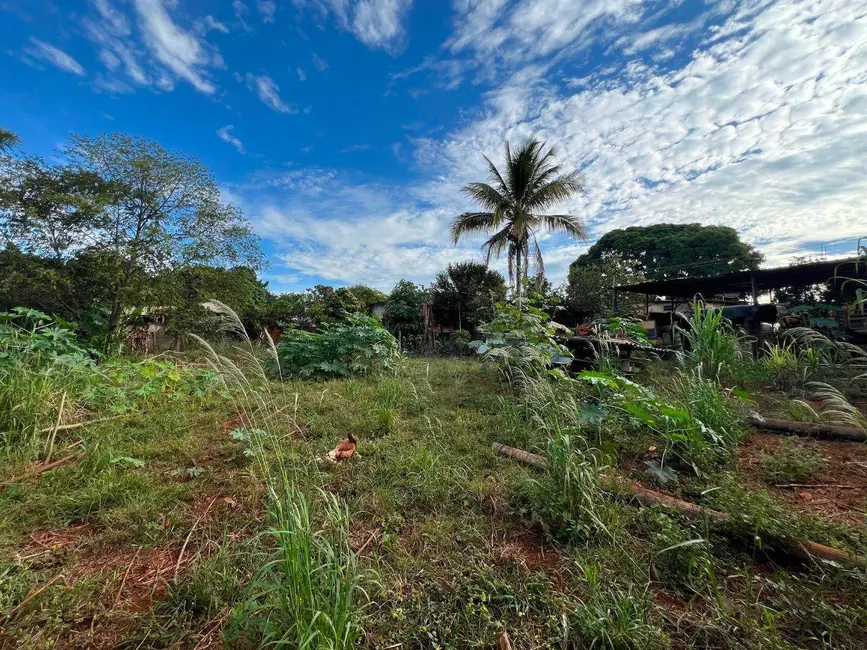 Chácara com 6 quartos à venda, 3500m2 em Bandeiras, Anapolis - GO - imagem 5 Foto 5 de Chácara com 6 quartos à venda, 3500m2 em Bandeiras, Anapolis - GO