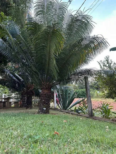 Sítio / Rancho com 2 quartos à venda, 2500m2 em Alexania - GO - imagem 9 Foto 9 de Sítio / Rancho com 2 quartos à venda, 2500m2 em Alexania - GO