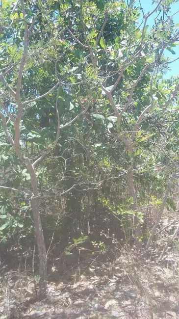 Foto 2 de Terreno / Lote à venda, 24200m2 em Pirenopolis - GO