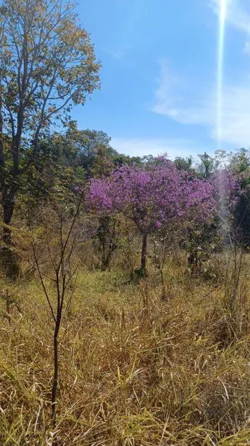 Foto 9 de Terreno / Lote à venda, 24200m2 em Pirenopolis - GO