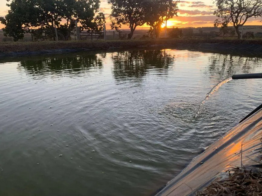 Foto 6 de Chácara com 2 quartos à venda, 2000m2 em Abadiania - GO