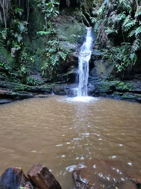 Foto 1 de Chácara com 1 quarto à venda, 22000m2 em Abadiania - GO