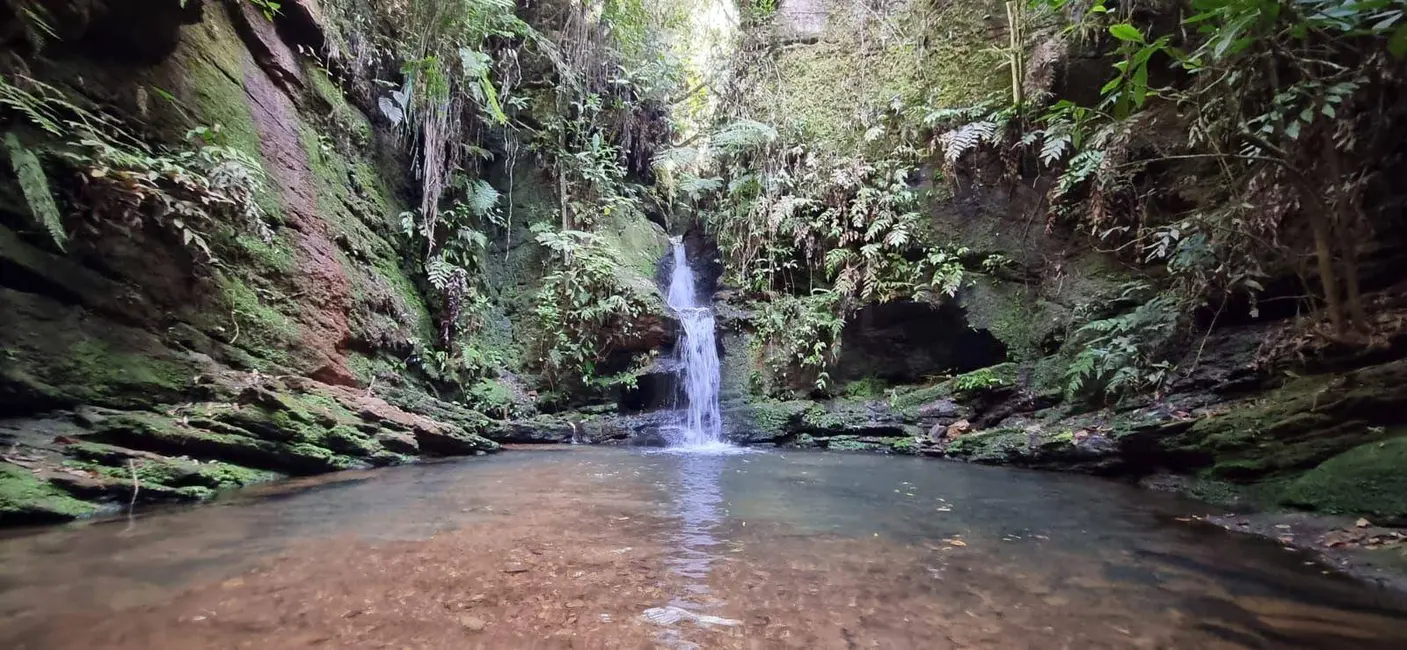 Foto 9 de Chácara com 1 quarto à venda, 22000m2 em Abadiania - GO