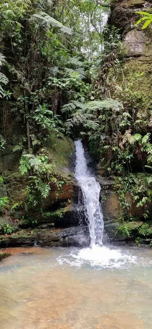 Foto 8 de Chácara com 1 quarto à venda, 22000m2 em Abadiania - GO