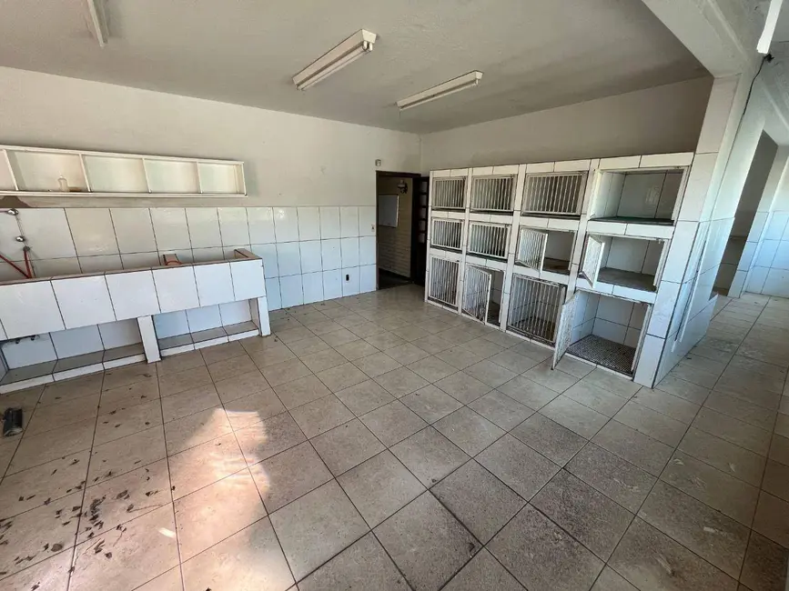 Sobrado à venda, 350m2 em Setor Central, Anapolis - GO - imagem 6 Foto 6 de Sobrado à venda, 350m2 em Setor Central, Anapolis - GO