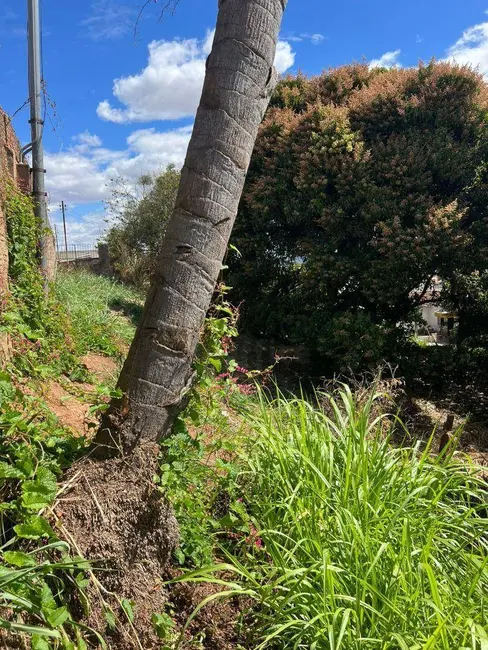 Foto 6 de Terreno / Lote à venda, 1000m2 em Jardim Bela Vista, Anapolis - GO