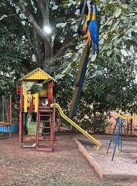 Foto 7 de Chácara com 3 quartos à venda, 2203m2 em Leopoldo De Bulhoes - GO