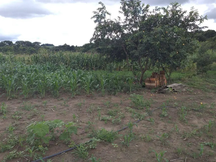 Foto 6 de Chácara com 3 quartos à venda, 6500m2 em Gameleira De Goias - GO