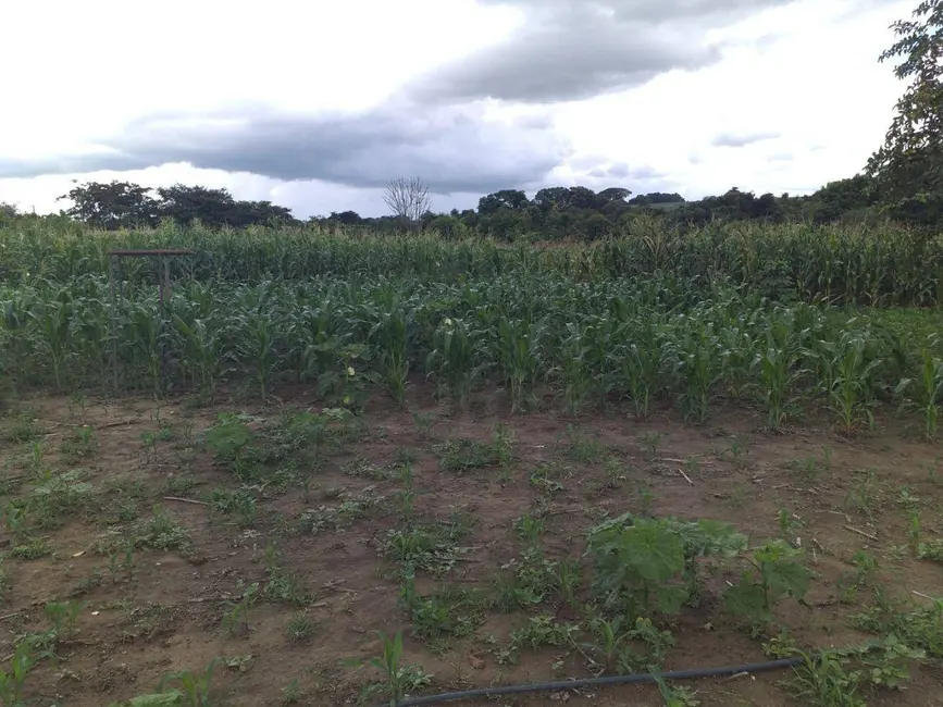 Foto 5 de Chácara com 3 quartos à venda, 6500m2 em Gameleira De Goias - GO