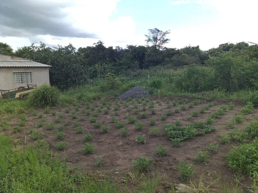 Foto 7 de Chácara com 3 quartos à venda, 6500m2 em Gameleira De Goias - GO