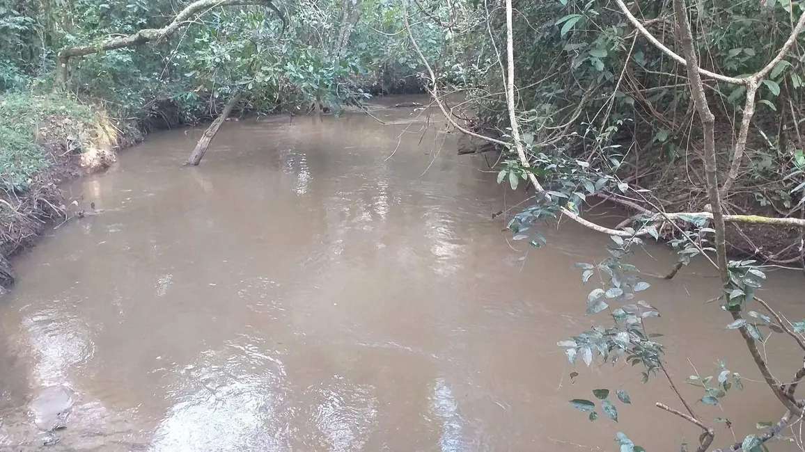 Foto 8 de Chácara com 3 quartos à venda, 6500m2 em Gameleira De Goias - GO
