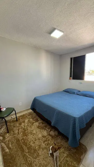 Foto 5 de Apartamento com 3 quartos à venda, 63m2 em Anapolis - GO