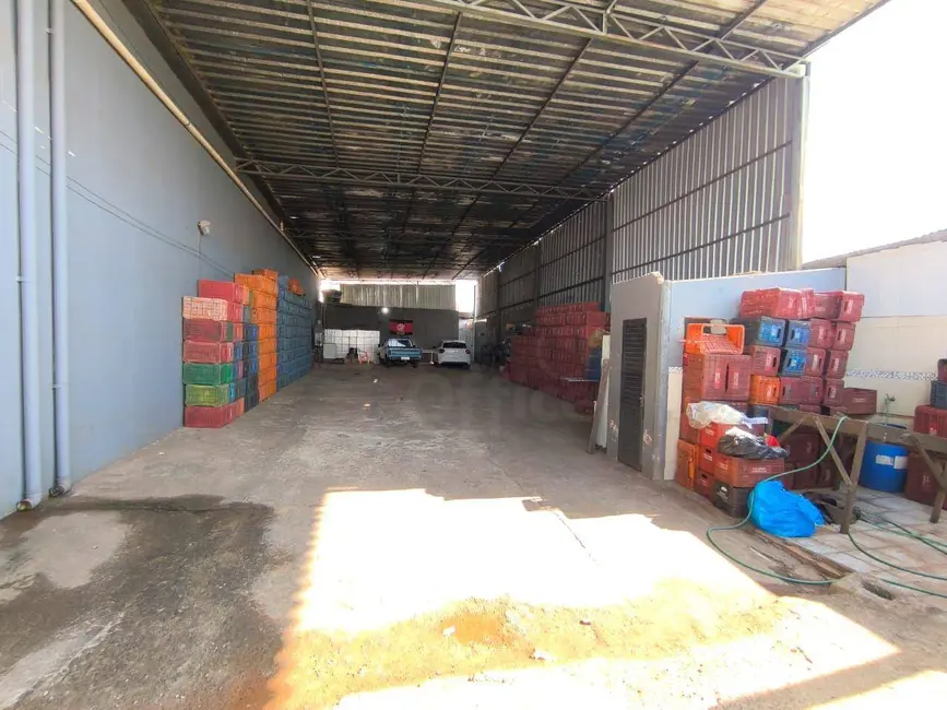 Armazém / Galpão à venda, 405m2 em Jardim Nações Unidas, Anapolis - GO - imagem 4 Foto 4 de Armazém / Galpão à venda, 405m2 em Jardim Nações Unidas, Anapolis - GO