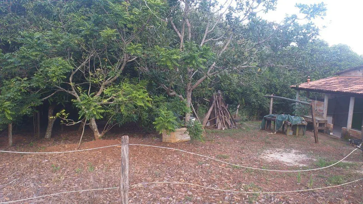 Foto 7 de Chácara com 2 quartos à venda, 24000m2 em Bonfinopolis - GO