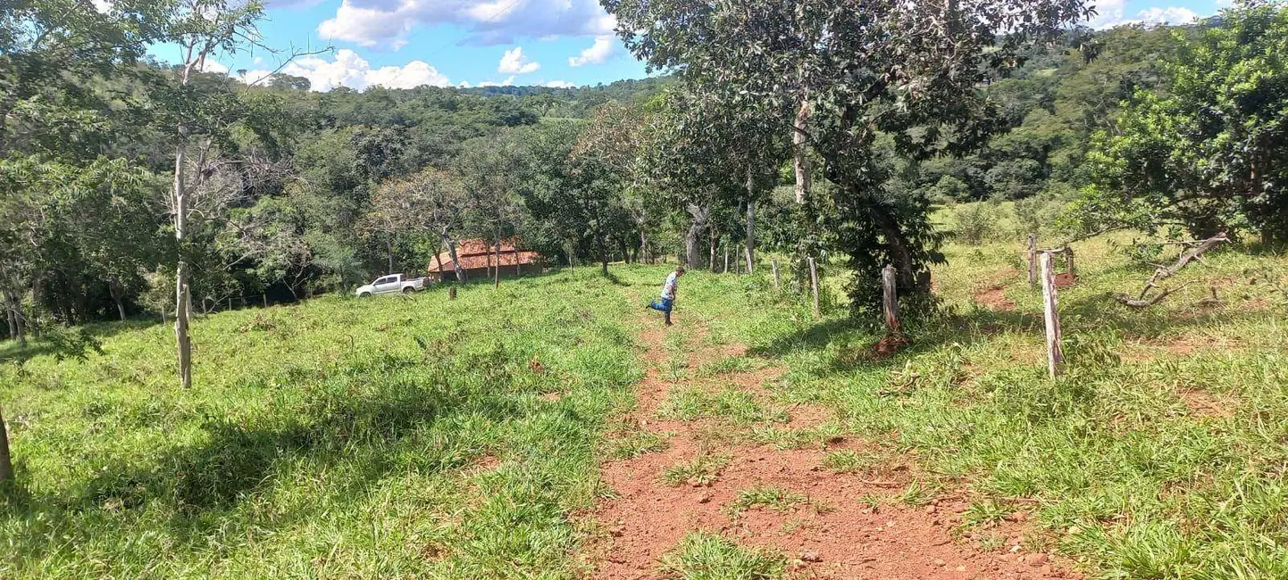 Foto 3 de Chácara com 2 quartos à venda, 24000m2 em Bonfinopolis - GO